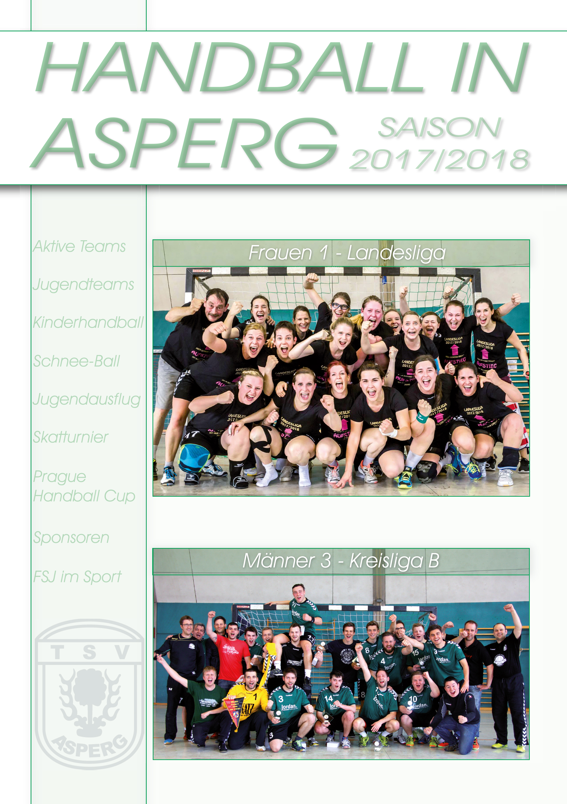 Handball in Asperg - Saison 2017/2018