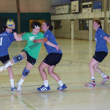 Frauen 1 2008/2009 -  Aufsteiger in die Landesliga
