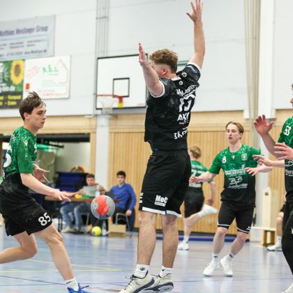 28.03.2026 HSG Lauffen-Neipperg - Männer 1 32:33 | Bild: Mike Matysik (www.portraction.de)