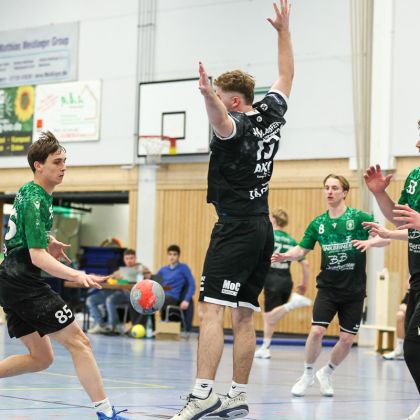 28.03.2026 HSG Lauffen-Neipperg - Männer 1 32:33 | Bild: Mike Matysik (www.portraction.de)